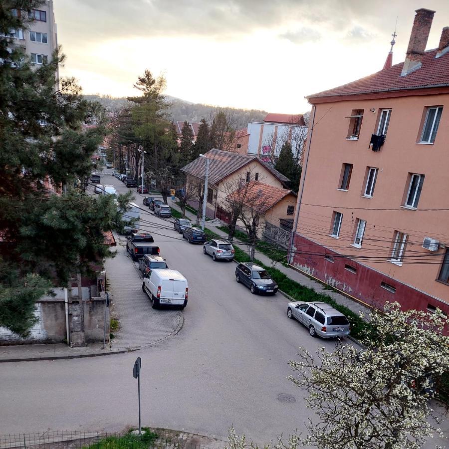 Fely Room Petroşani Екстериор снимка