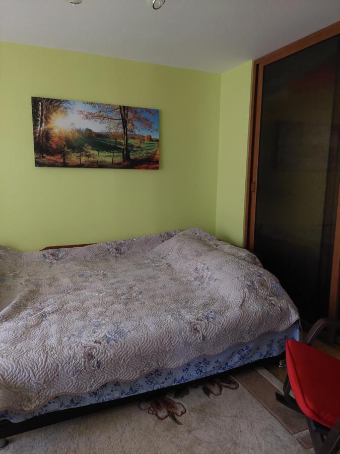 Fely Room Petroşani Екстериор снимка
